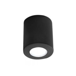 Plafonske lampe