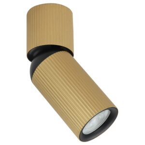 Plafonska lampa AFS117-1C SG