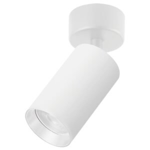 Plafonska lampa AFS121-1C WH