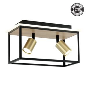 LED plafonska lampa FG152-2 BK+WD