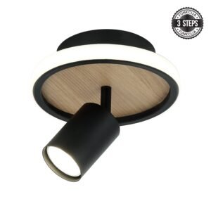 LED plafonska lampa FG150-1 BK+WD