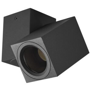 Plafonska lampa AFS100-1C BK