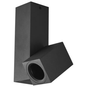 Plafonska lampa AFS101-1C BK