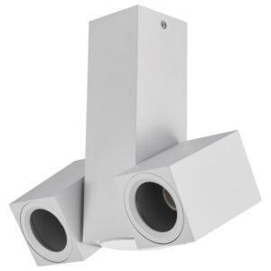 Plafonska lampa AFS101-2C WH