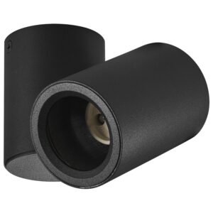 Plafonska lampa AFS102-1C BK