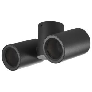 Plafonska lampa AFS102-2C BK