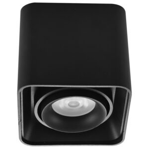 Plafonska lampa AFS108-1C BK