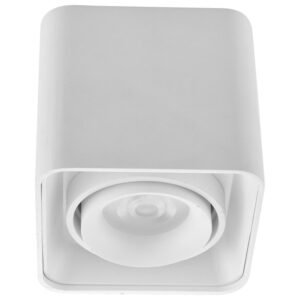 Plafonska lampa AFS108-1C WH