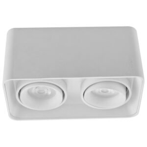 Plafonska lampa AFS108-2C WH