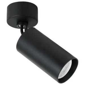 Plafonska lampa AFS112-1C BK