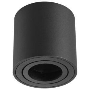 Plafonska lampa AFS114-1C BK