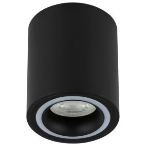 Plafonska lampa AFS116-1C BK