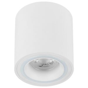 Plafonska lampa AFS116-1C WH