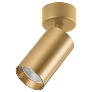 Plafonska lampa AFS121-1C SG