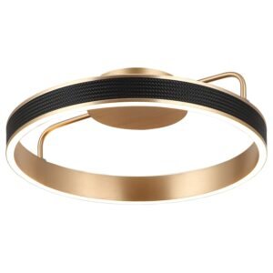 LED plafonska lampa F2088-38C GD