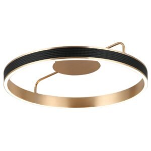 LED plafonska lampa F2088-46C GD