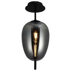 Plafonska lampa F4014-1C BK+SM