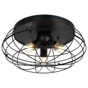 Plafonska lampa F7248-3C BK