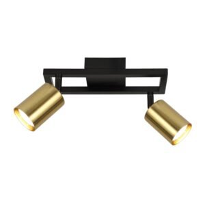 Plafonska lampa FG153-2 BK +SG