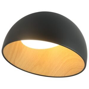 LED plafonska lampa FK2001-24C BK