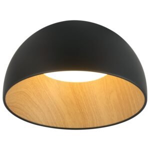 LED plafonjera FK2001-36P BK