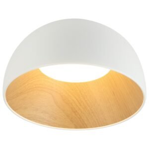 LED plafonjera FK2001-36P WH