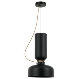 Viseća lampa FK7031-2V BK