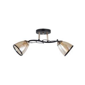 Plafonska lampa MD2740-2 BK+GD