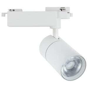 Šinski LED reflektor TL09-30 WH