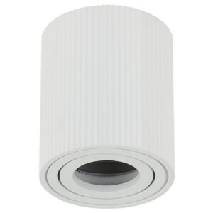 Plafonska lampa AFS118-1C WH