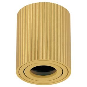 Plafonska lampa AFS118-1C SG