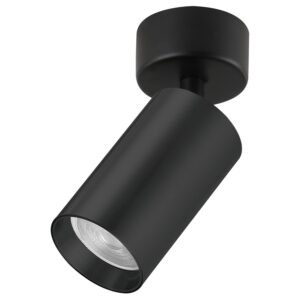 Plafonska lampa AFS121-1C BK