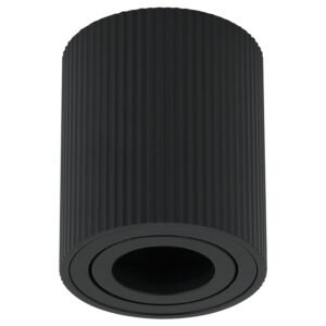 Plafonska lampa AFS118-1C BK