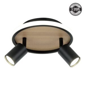 LED plafonska lampa FG150-2 BK+WD