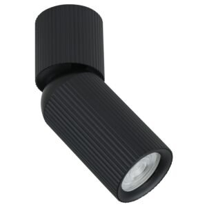 Plafonska lampa AFS117-1C BK