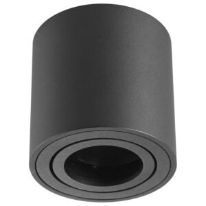 Plafonska lampa AFS114-1C BK