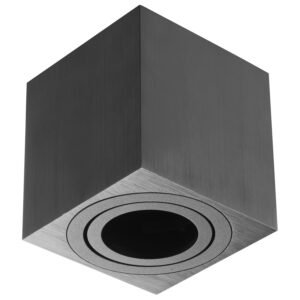 Plafonska lampa AFS115-1C BK