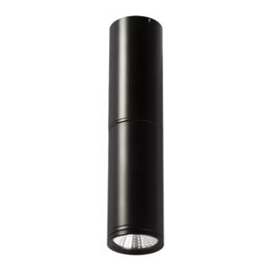 LED plafonska lampa F2601-5C BK