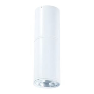 LED plafonska lampa F2603-12C WH