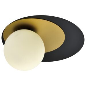 Plafonska lampa F4015-1C BK+SG