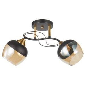 Plafonska lampa MD2741-2 BK+SG